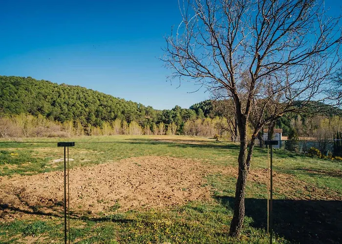 Pachán Dehesa Boyal Cuenca 